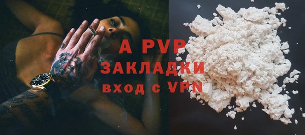 сатива Аркадак