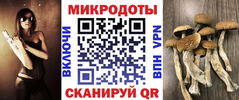 Галлюциногенные грибы прущие грибы  купить наркотик  Чкаловск 